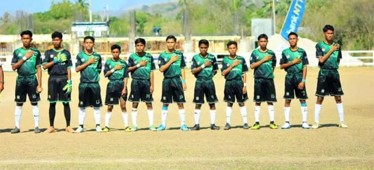 bola kaki